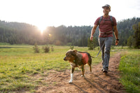 Ruffwear Switchbak Leash
